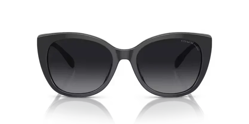 Coach | 8365U | Black/Dark Tortoise Polarised