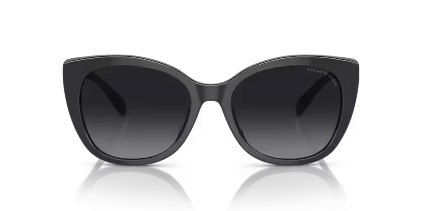 Coach | 8365U | Black/Dark Tortoise Polarised