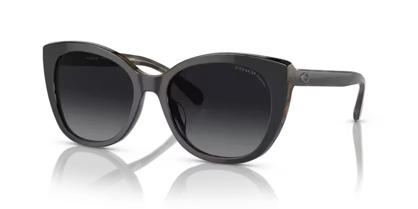 Coach | 8365U | Black/Dark Tortoise Polarised