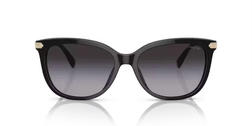 Coach | 8378U | Black