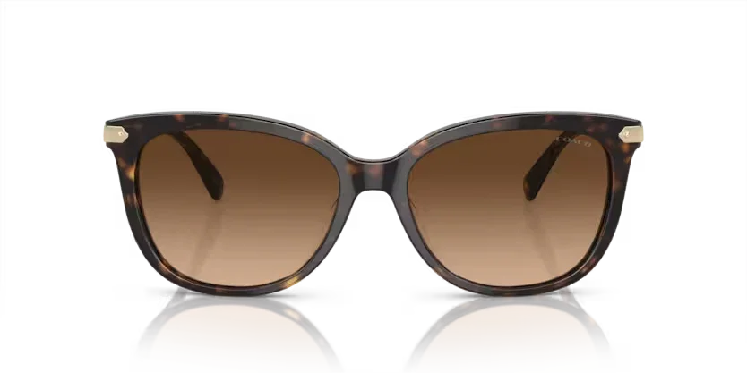 Coach | 8378U | Dark Tortoise