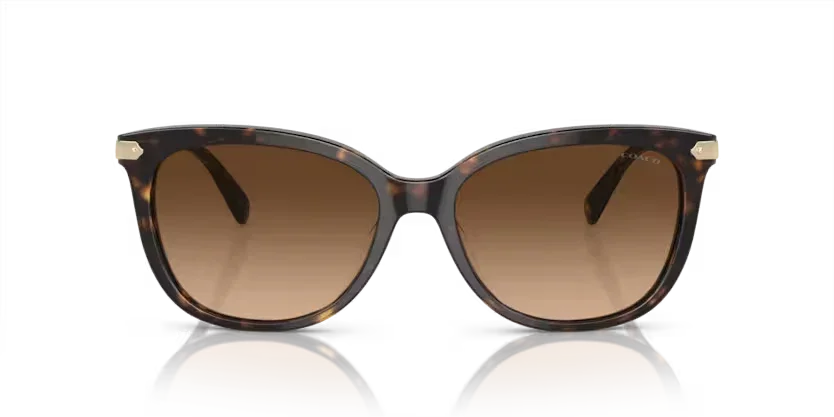 Coach | 8378U | Dark Tortoise