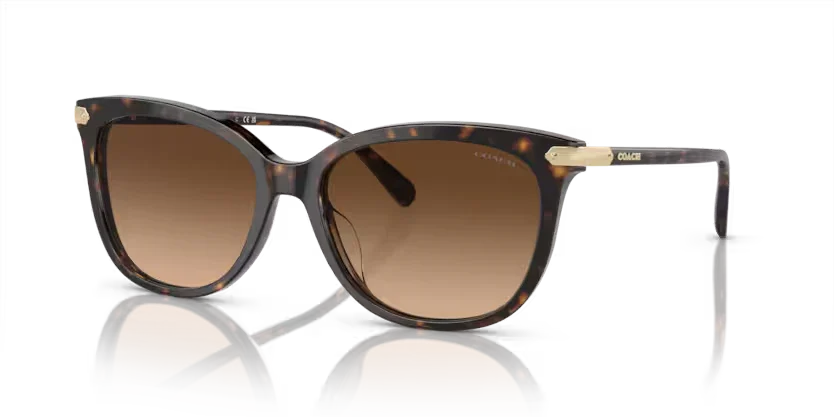 Coach | 8378U | Dark Tortoise