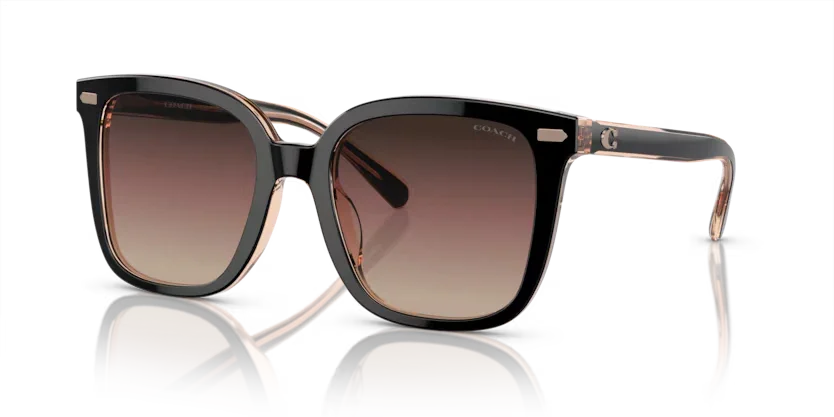 Coach | 8381F | Black