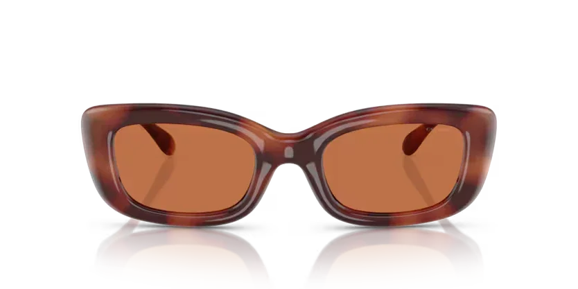 Coach | 8390U | Caramel tortoise