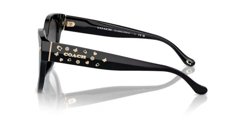 Coach | 8393U | Black