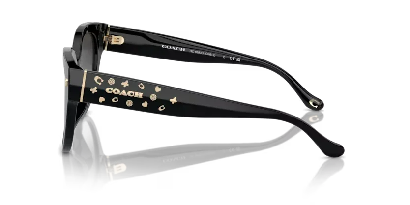 Coach | 8393U | Black