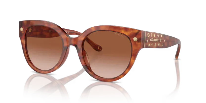 Coach | 8393U | Caramel Tortoise