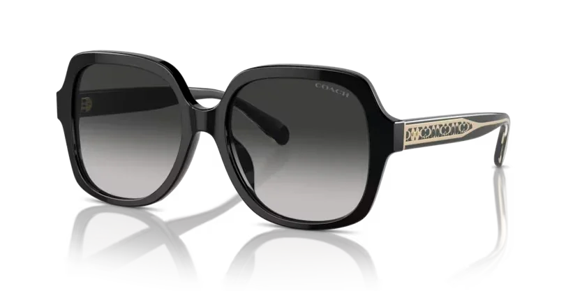 Coach | 8395F | Black