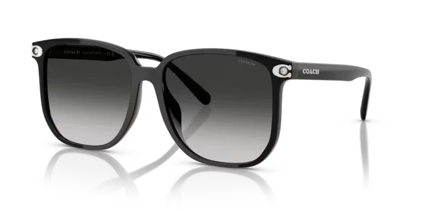 Coach | 8413BD | Black