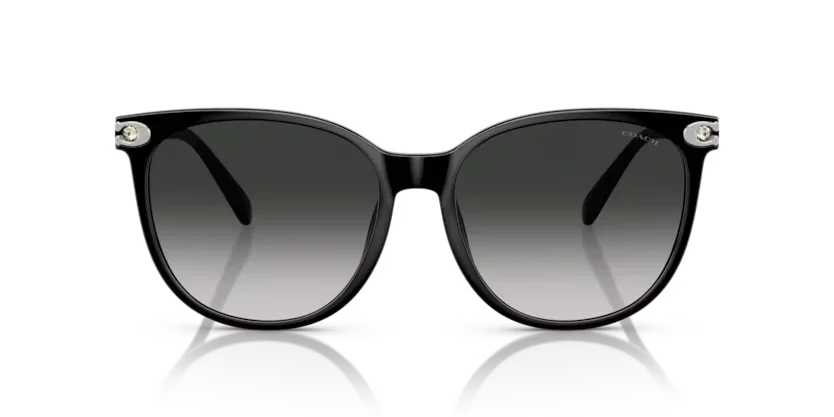 Coach | 8414BD | Black
