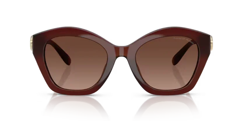 Coach | 8421U | Milky Hazelnut Polarised