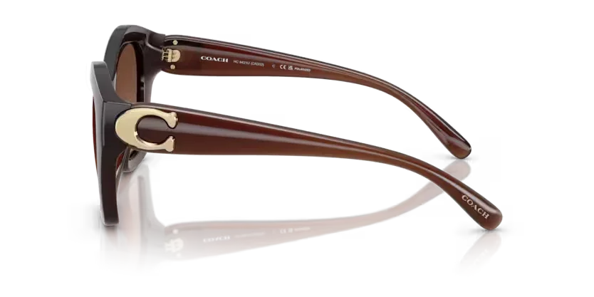 Coach | 8421U | Milky Hazelnut Polarised