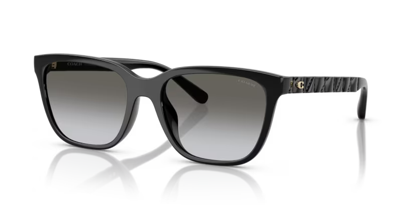 Coach | 8429D | Black