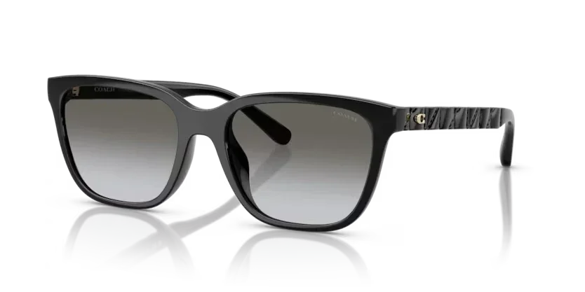 Coach | 8429D | Black