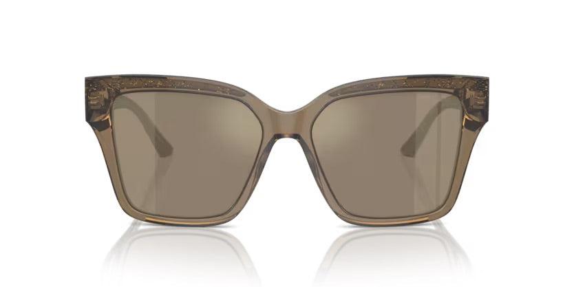 Jimmy Choo | 5003F | Transparent Brown Glitter - iKANDi Sunglasses