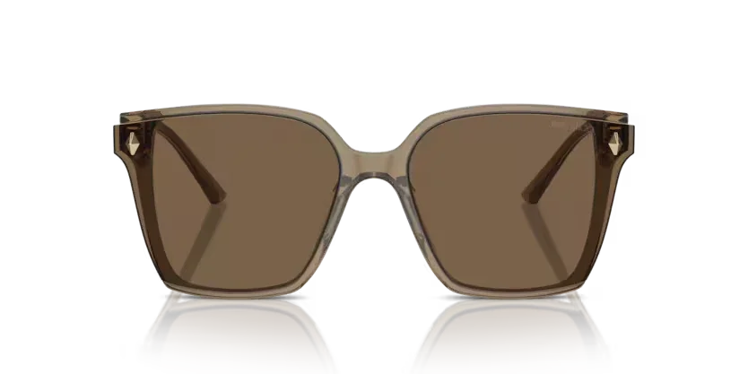 Jimmy Choo | 5016D | Transparent brown