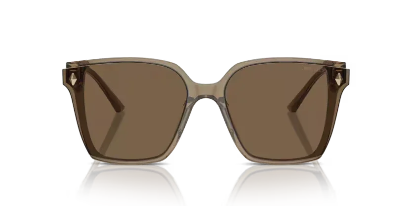 Jimmy Choo | 5016D | Transparent brown