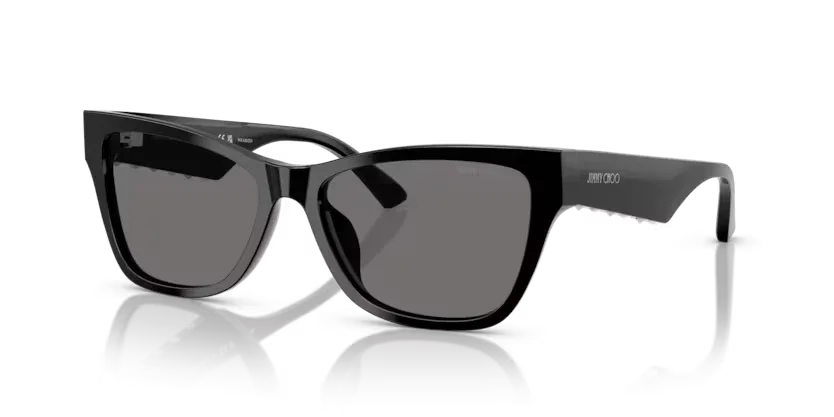Jimmy Choo | 5024HU | Black Polarised