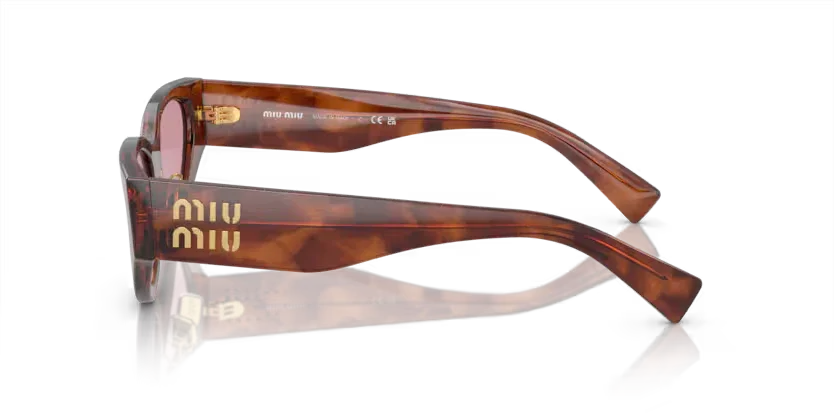 Miu Miu | 03ZS | Striped tobacco