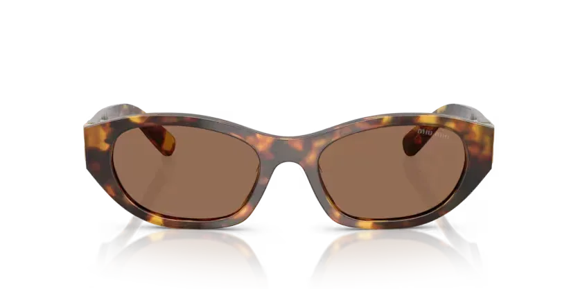 Miu Miu | A03SF | Honey Havana Dark Brown