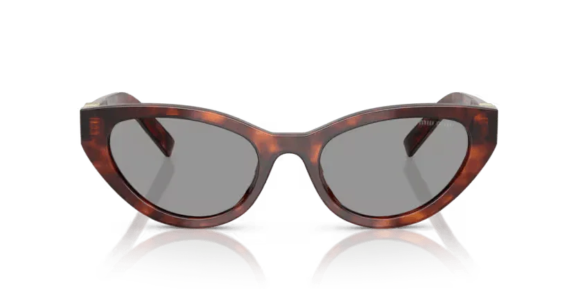 Miu Miu | A04S | Havana mahogany - iKANDi Sunglasses