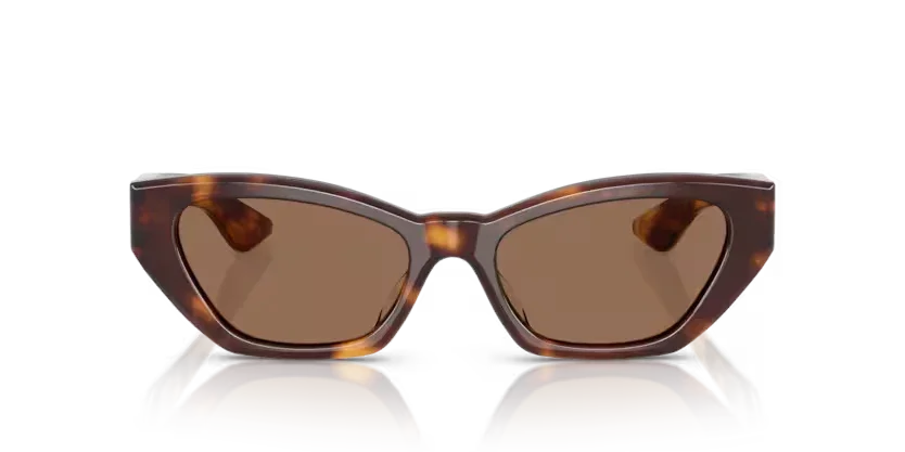 Oliver Peoples | V5582SU 1961c | Dark mahogany