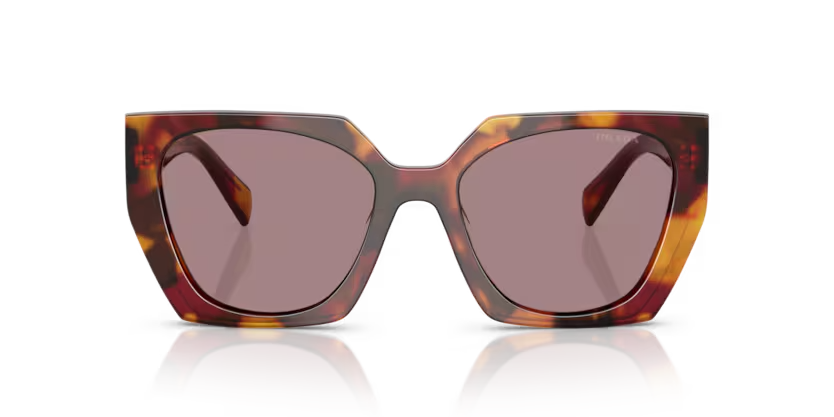 Prada | 15WS | Poppy Tortoise