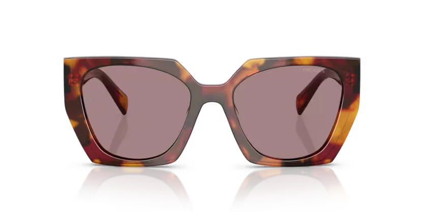 Prada | 15WS | Poppy Tortoise