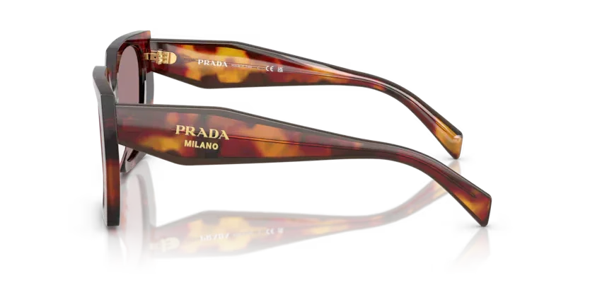 Prada | 15WS | Poppy Tortoise
