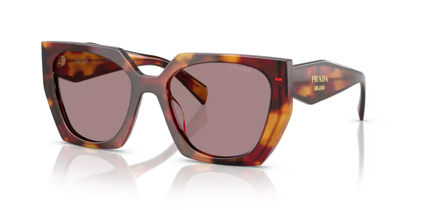 Prada | 15WS | Poppy Tortoise