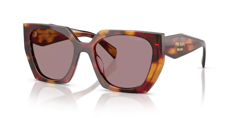 Prada | 15WS | Poppy Tortoise