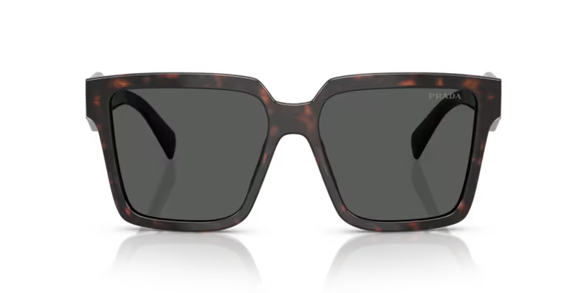Prada | 24ZS | Root Tortoise