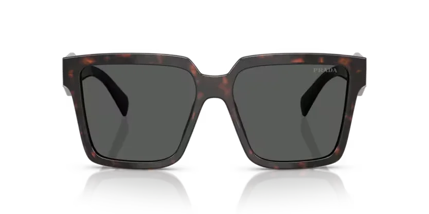 Prada | 24ZS | Root Tortoise