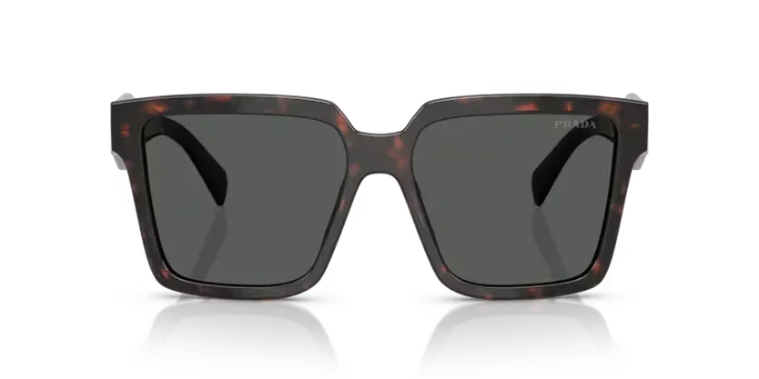 Prada | 24ZS | Root Tortoise