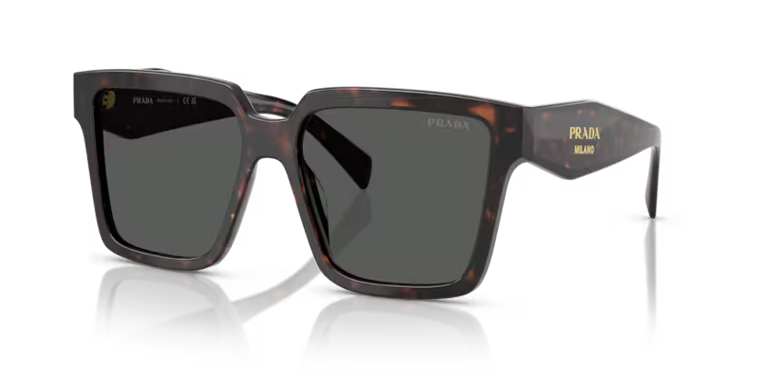 Prada | 24ZS | Root Tortoise