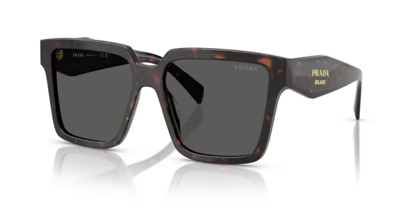 Prada | 24ZS | Root Tortoise
