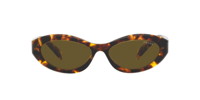 Prada | 26ZS | Honey Tortoise - iKANDi Sunglasses