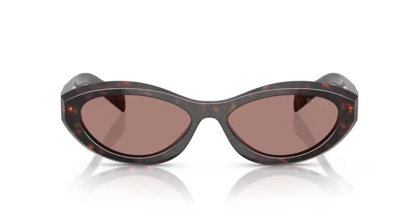 Prada | 26ZS | Root Tortoise - iKANDi Sunglasses