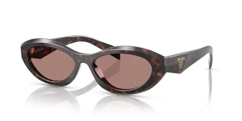 Prada | 26ZS | Root Tortoise - iKANDi Sunglasses