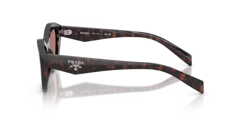 Prada | A02S | Root Tortoise