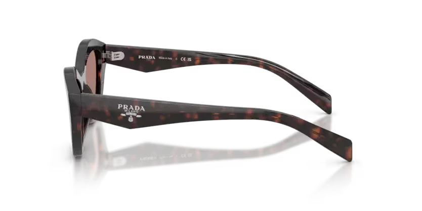 Prada | A02S | Root Tortoise