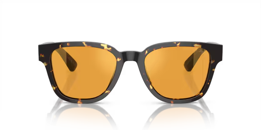 Prada | A04S | Havana Black/Yellow