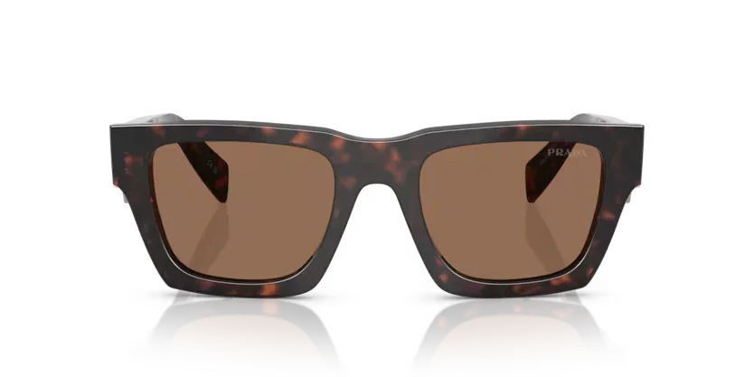 Prada | A06S | Root Tortoise