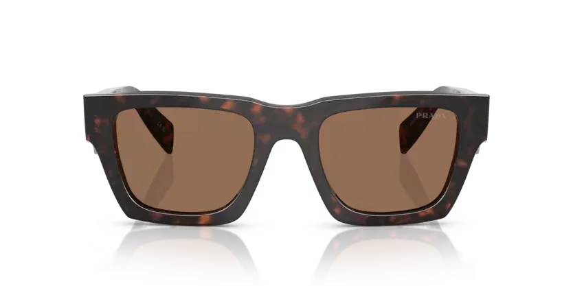 Prada | A06S | Root Tortoise