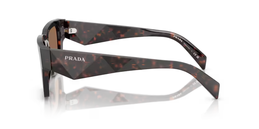 Prada | A06S | Root Tortoise