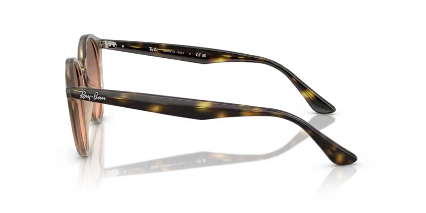 Ray-Ban | 2180 | Turtledove