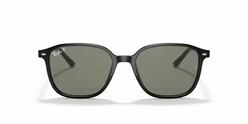 Ray-Ban | 2193 Leonard | Black