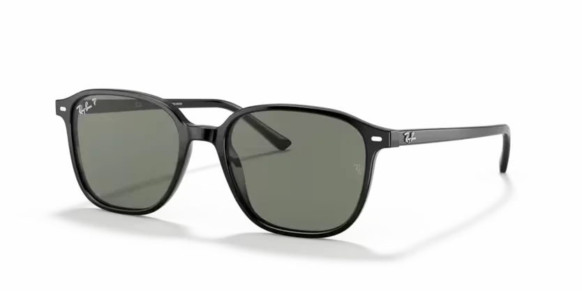 Ray-Ban | 2193 Leonard | Black
