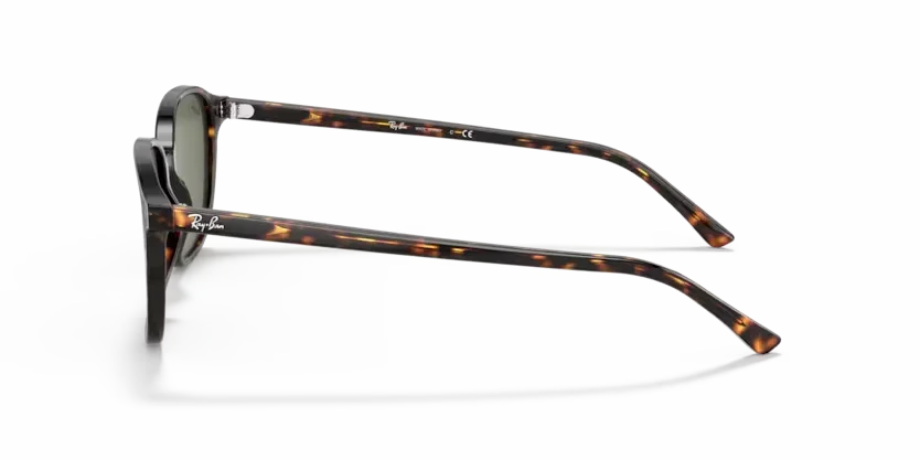 Ray-Ban | 2193 Leonard | Tortoise